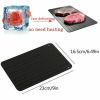 Defrosting Tray for Frozen Meat Rapid and Safer Way of Thawing Food Large Size Defroster Plate Thaw by Miracle Natural Heating A Pack